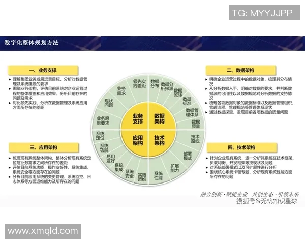 以数据为核心推动数字化转型的战略路径与实践探索分析